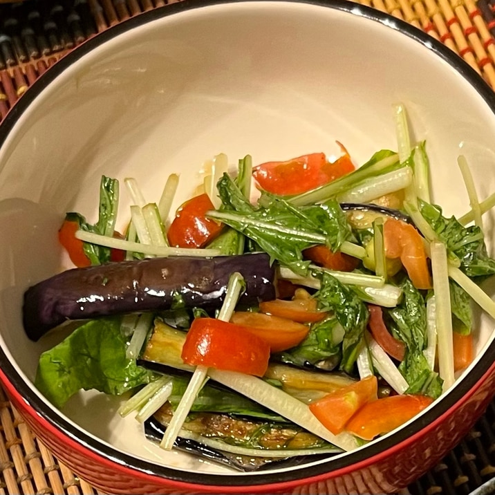 揚げナスと水菜のサラダ